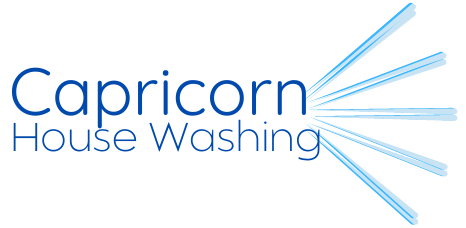 Capricorn House Washing Logo