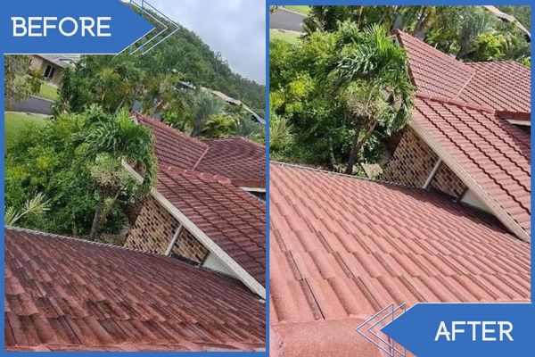 Pressure Cleaning Residential Modern Clay Roof Before Vs After(1)