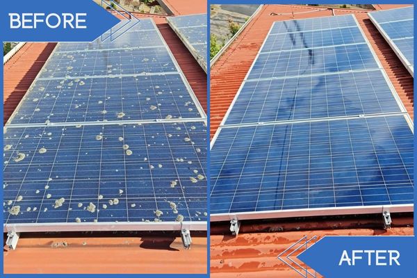Solar Panel Cleaning Before Vs After